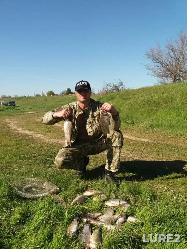 Crucian carp — Dnіpropetrovska oblast, Apr 30, 2017