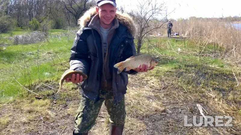 Crucian carp — Yuzhnoye, Apr 15, 2017