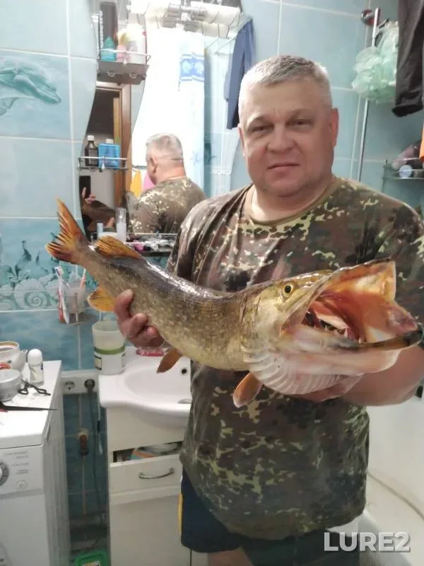 Pike — Pina, May 21, 2024