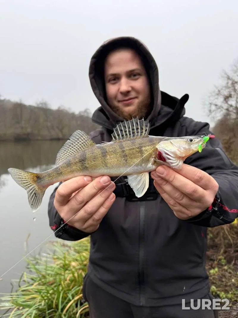 Bream, Pike — Yaselda, Aug 08, 2023
