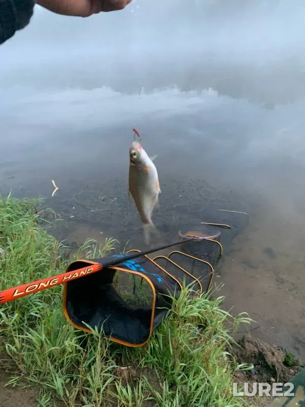 White bream — Dnepr, Aug 27, 2024