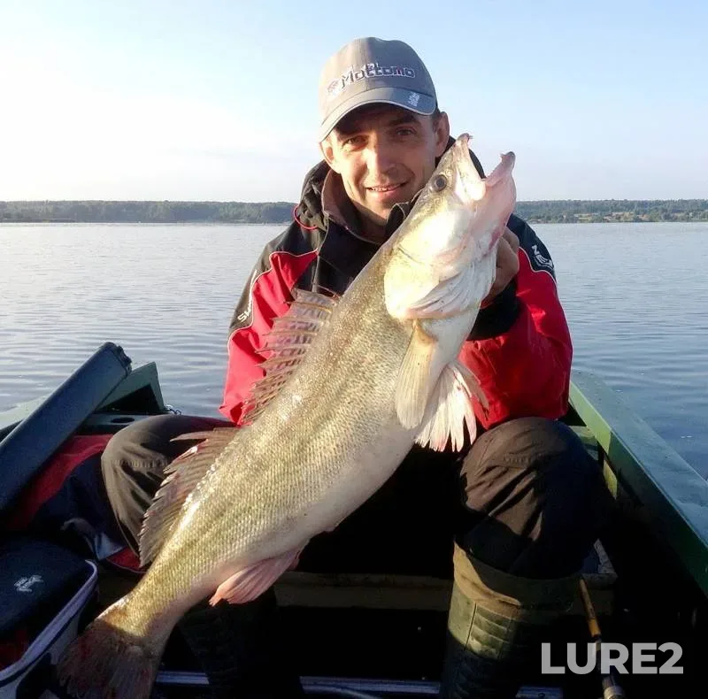 Zander — Yauzskoye, Sep 06, 2017