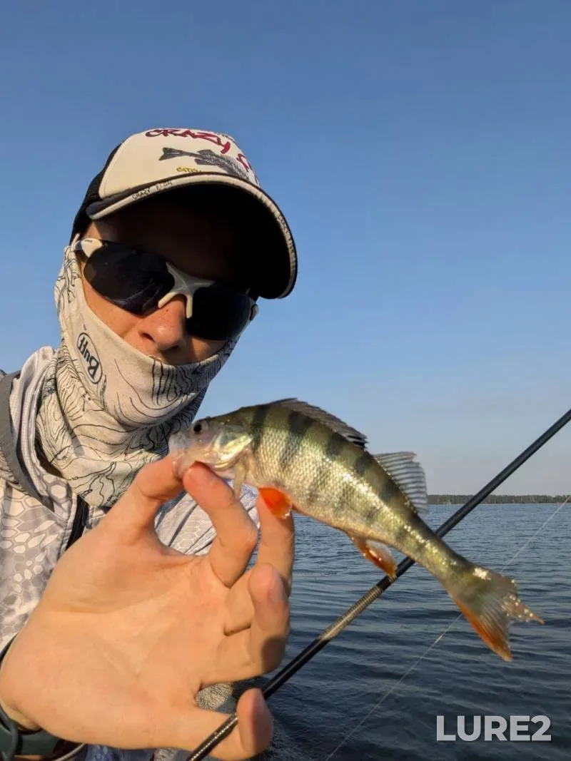 Perch — Severskiy Donets, Jul 17, 2024, 5:02 PM