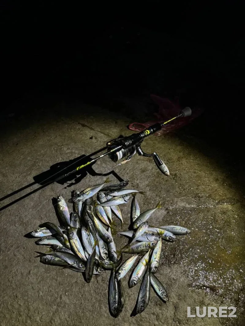 Zander — Belgorodskaya oblast, Apr 15, 2018