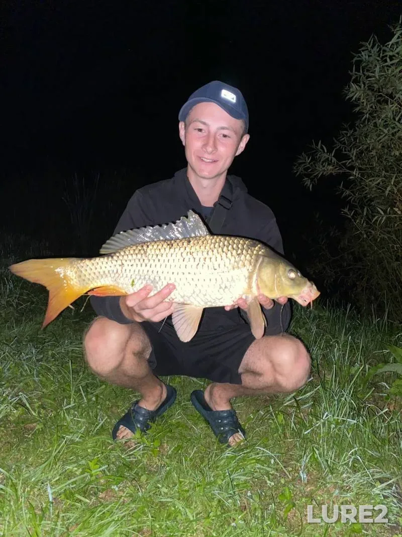 White bream — Svisloch, Aug 28, 2024