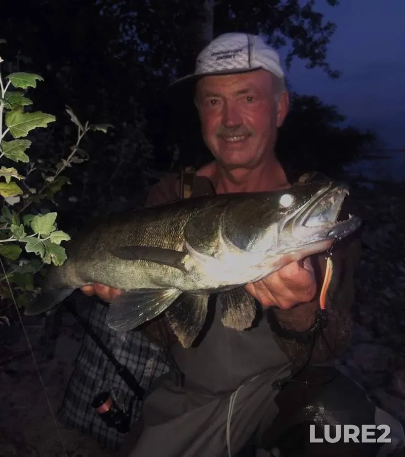 White bream — Svisloch, Sep 21, 2024