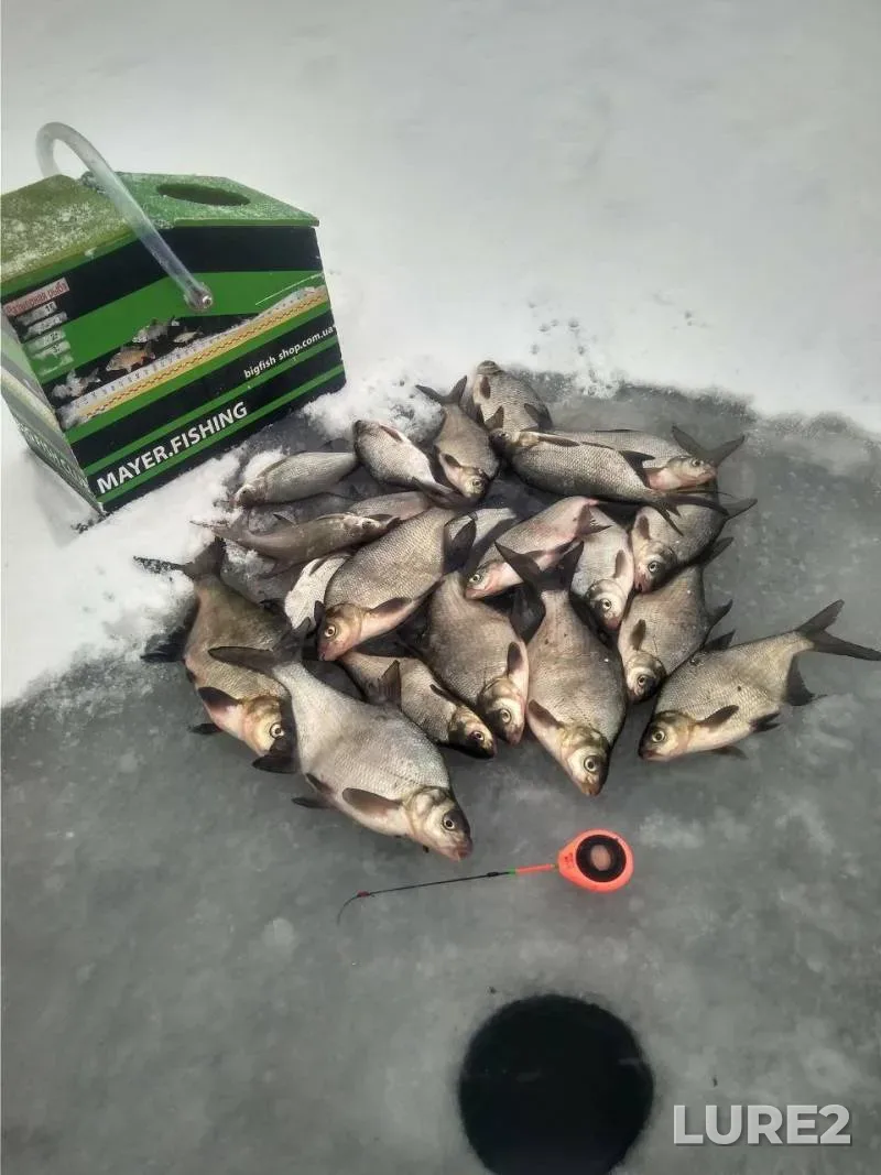 Bream — Nagorovskoye, Jan 14, 11:40 AM