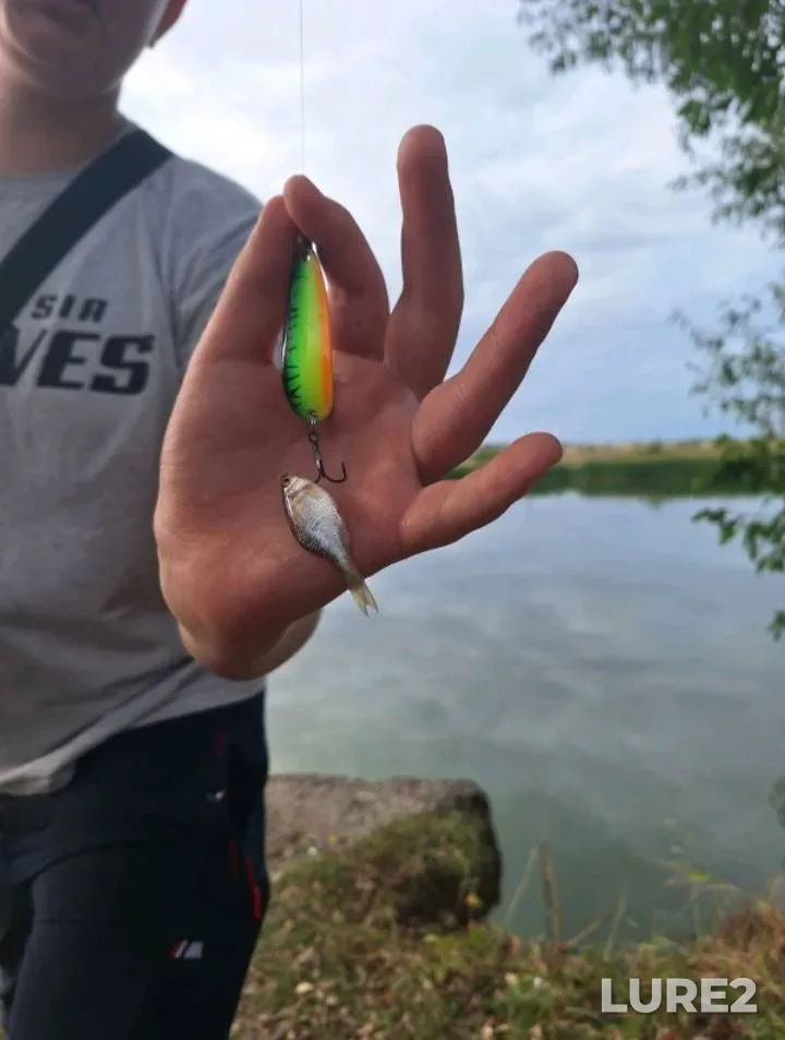 Perch — Belgorodskaya oblast, Nov 22, 2018