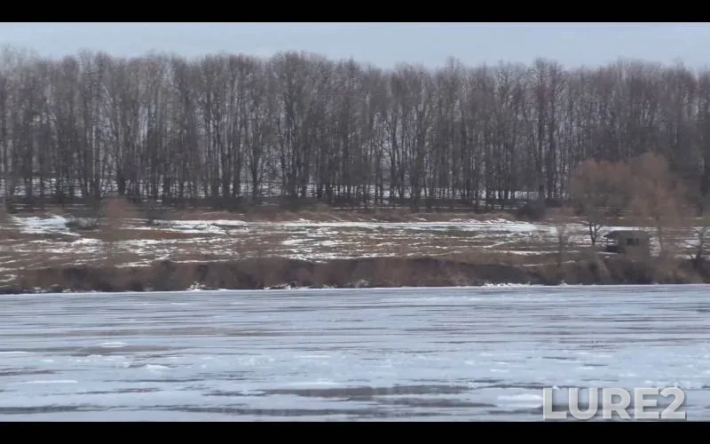 Perch, Ruffe — Sumska oblast, Feb 08, 2024, 1:25 PM