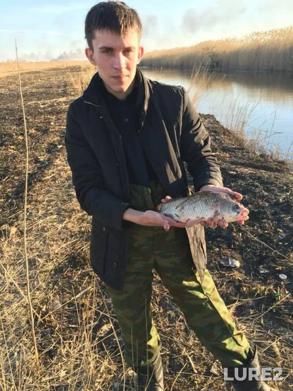 Carp, Wels catfish — Pakhra, Jul 20, 2016
