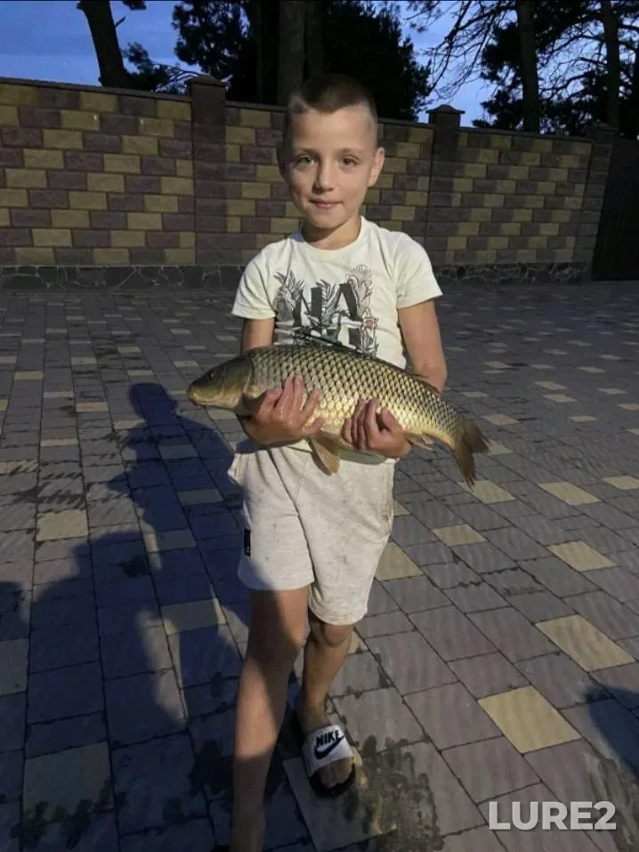 Carp — Psyol, Jul 19, 2025, 4:23 PM