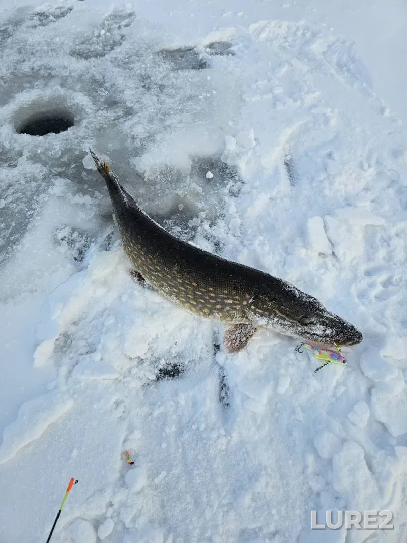Pike — Dnepr, Jan 15, 10:51 AM