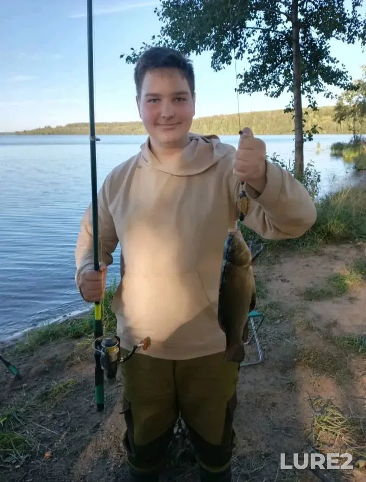 Perch — Brestskaya oblast, Nov 10, 2024