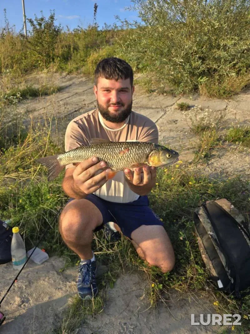 Crucian carp — Kurskaya oblast, Apr 29, 2024