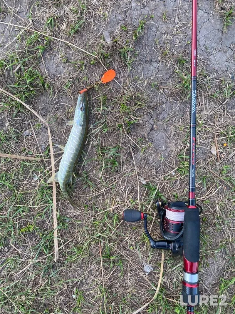 Pike — Yuzhnyy Bug, Aug 08, 2024, 5:39 PM