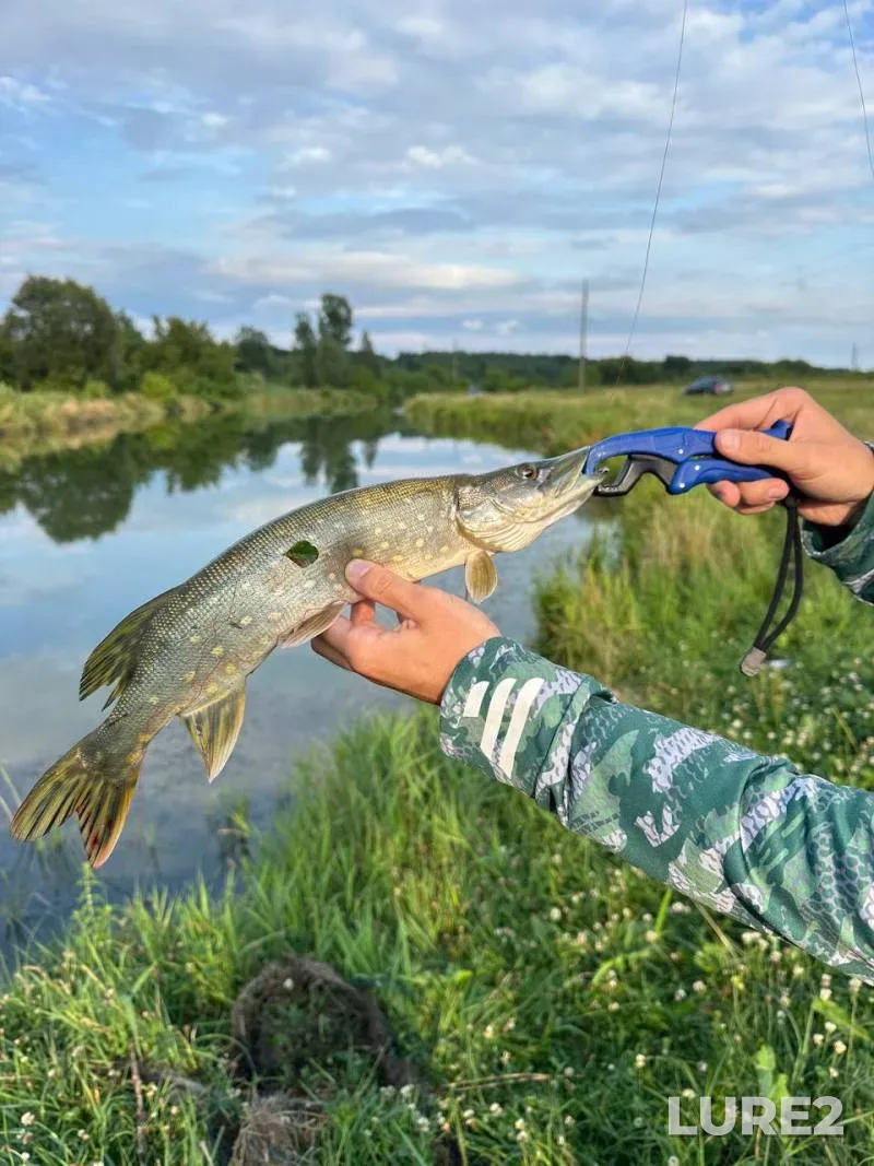 Pike — Yuzhnyy Bug, Jul 26, 2024, 5:20 PM