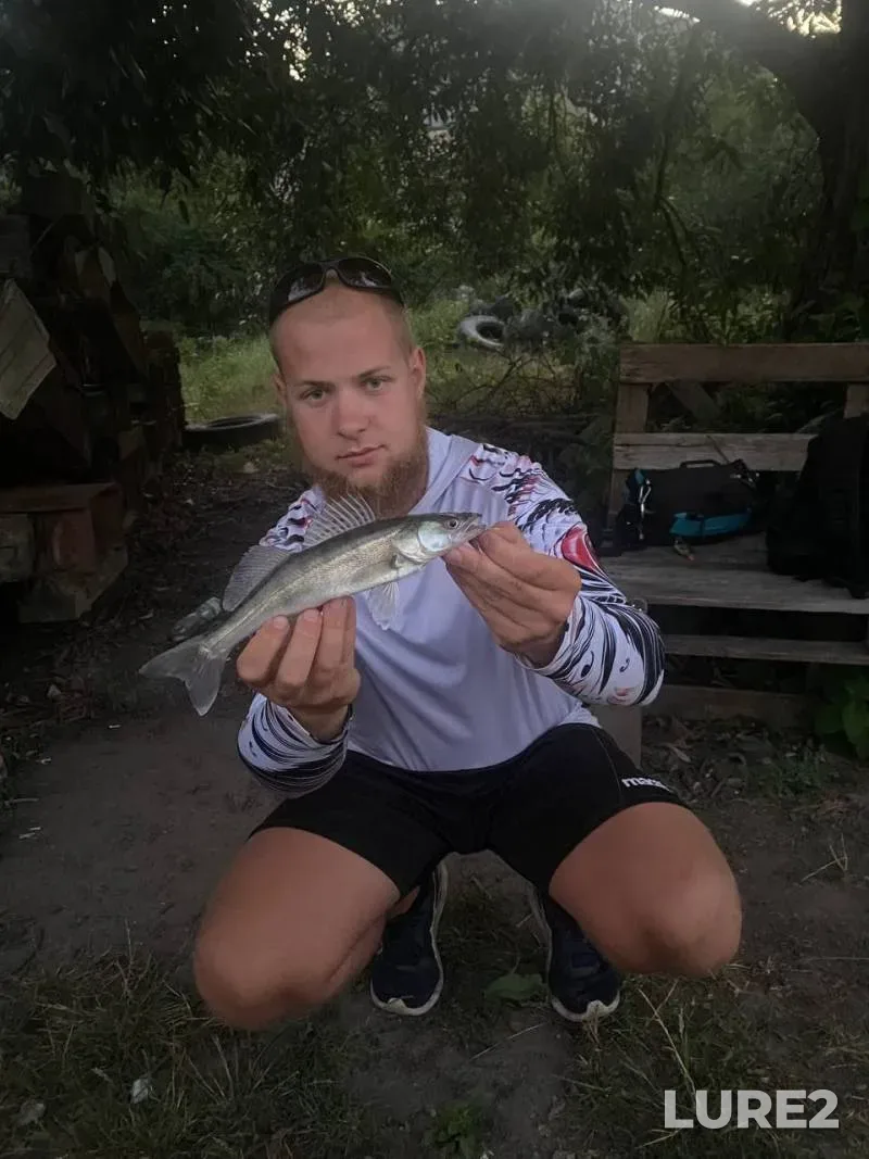 Pike — Usveyka, Nov 16, 2018