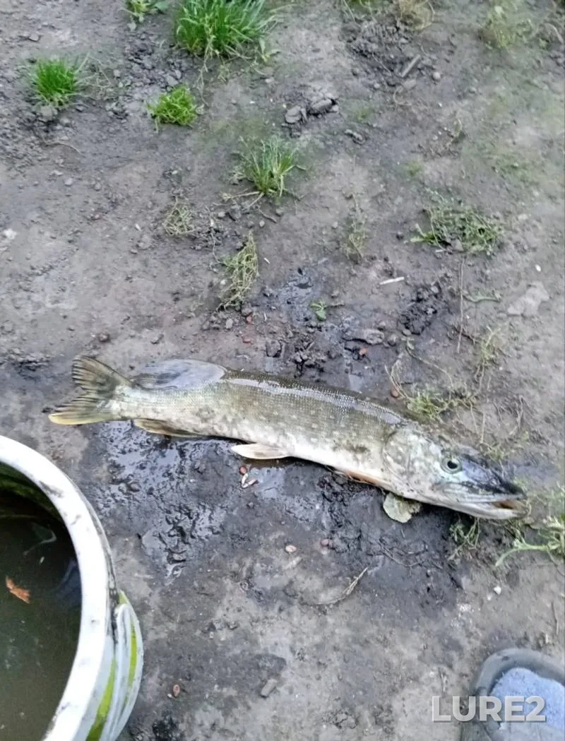 Pike — Byk, Oct 16, 2025, 12:36 PM