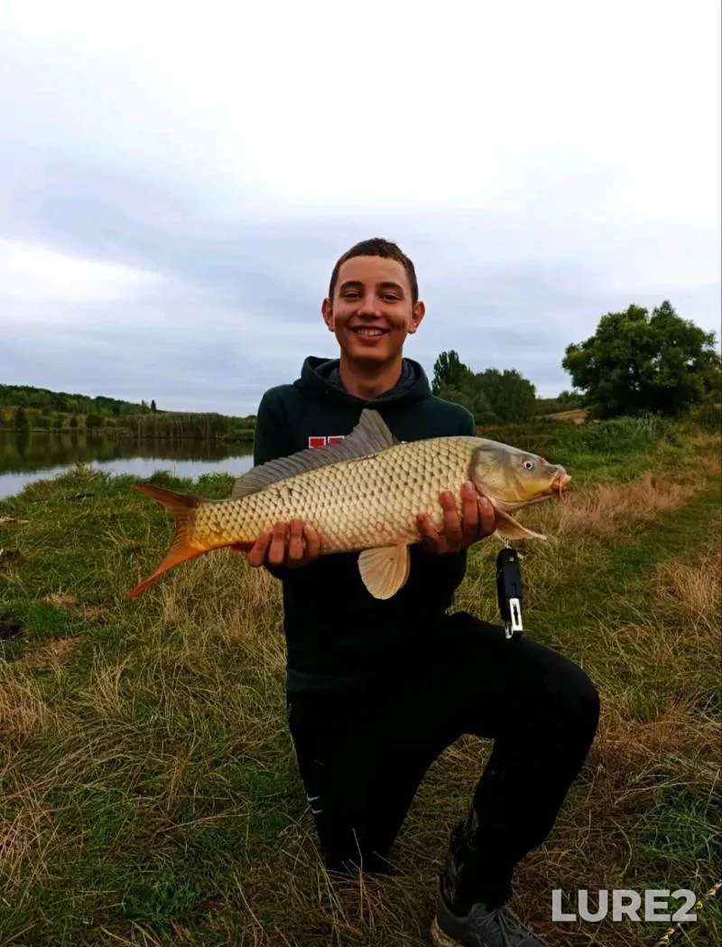 Carp — Kramatorskoye vodokhranilishche (Mayachkovskoye), Sep 21, 2025, 4:13 PM