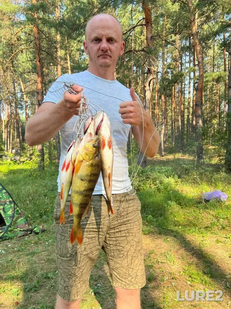 Perch — Khmelnitska oblast, Jul 20, 2024, 6:33 PM