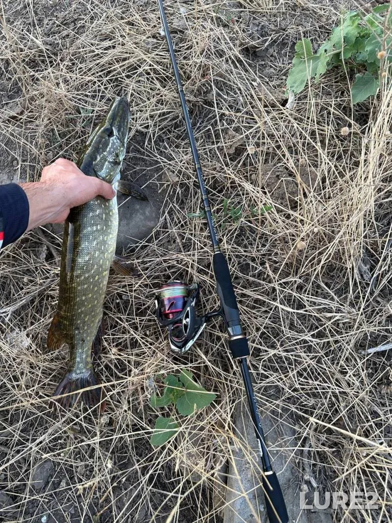 Pike — Ingul, Jul 18, 2024, 1:36 PM