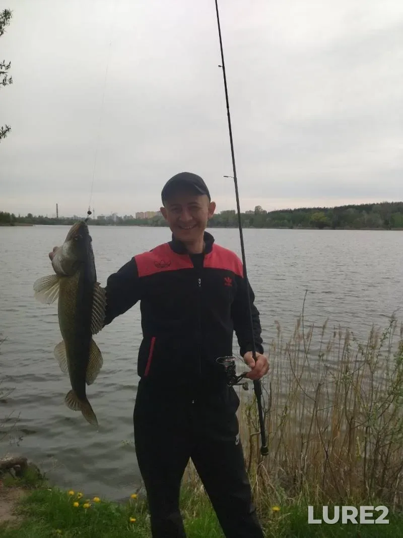 Bream, Crucian carp — Belichanka, Apr 20, 2025