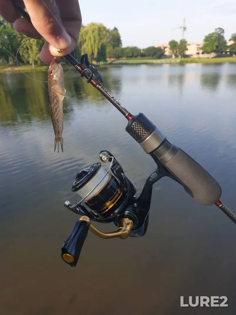 Perch — Dnepr, Jun 01, 2025, 8:46 AM
