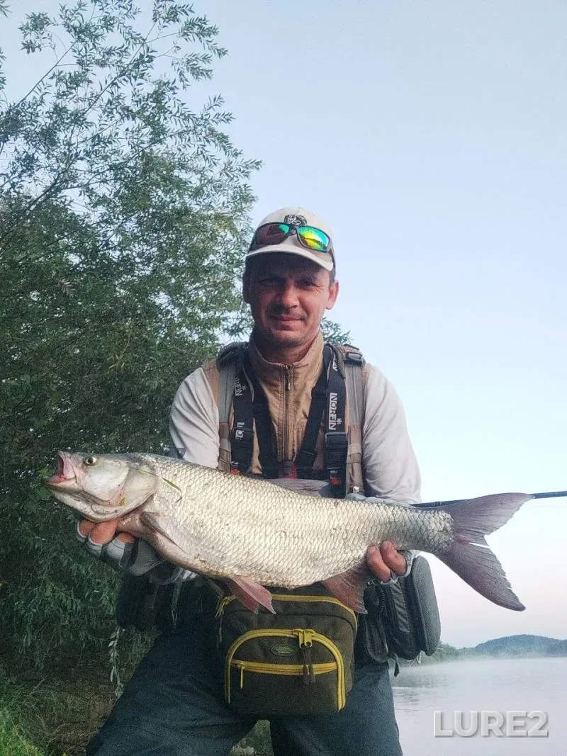 Pike — Zhlobinskoye, Aug 22, 2024
