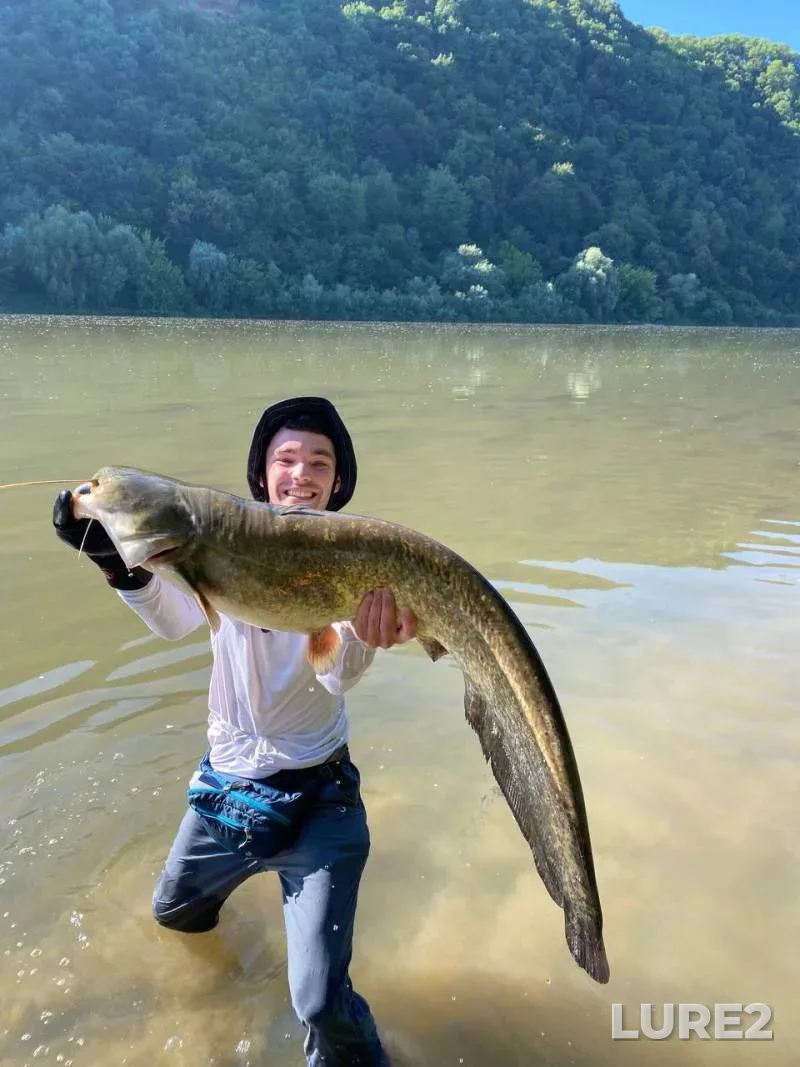 Wels catfish — Dnestr, Jul 28, 2024, 8:45 AM