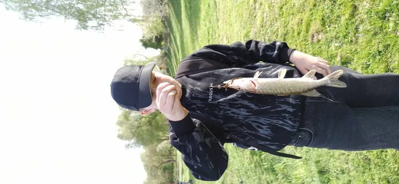 Щука