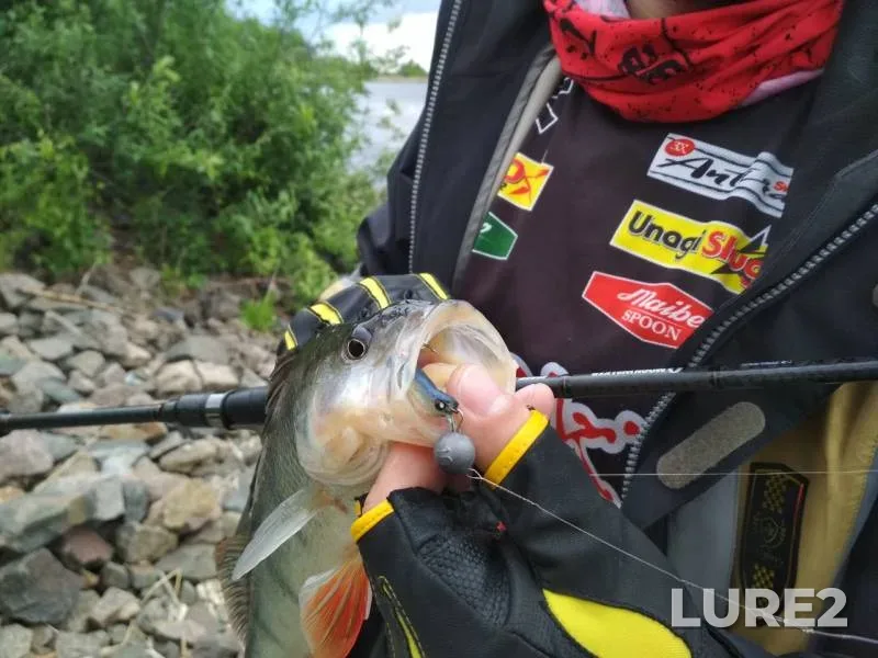 Perch, Zander — Soligorskoye, May 23, 2018