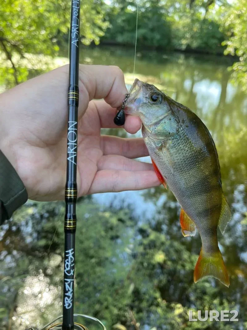 Perch, Rudd — Severskiy Donets, Jul 20, 2024, 10:35 AM