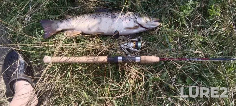 Bream — Krasnoyarskoye, Apr 16, 2021