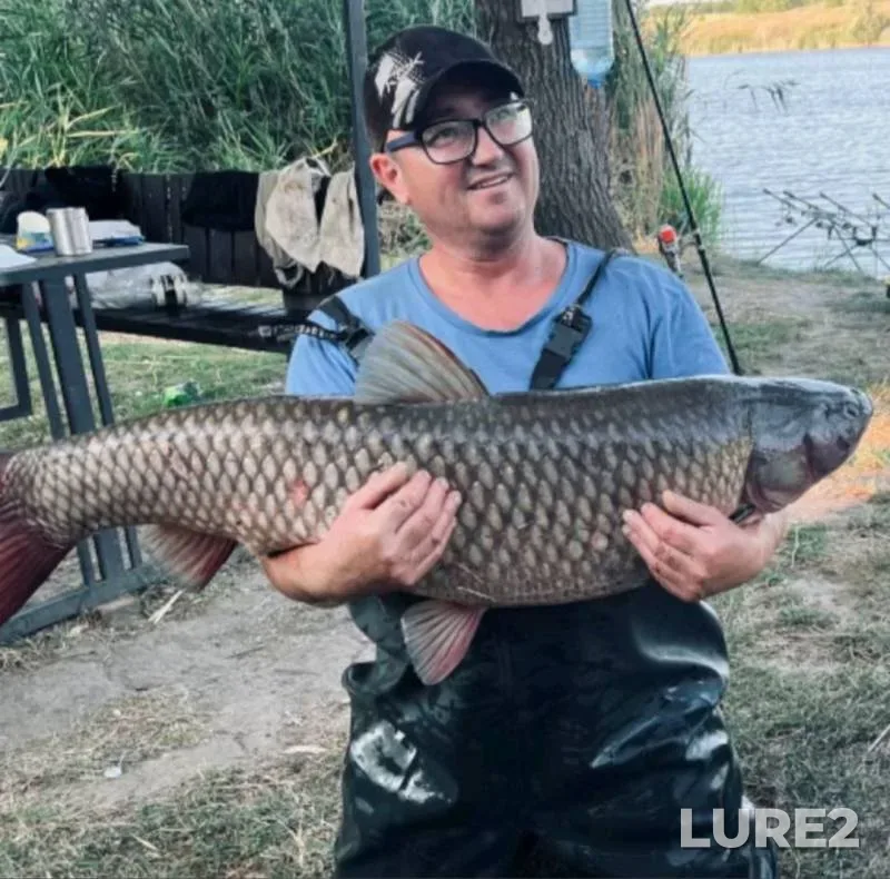Grass carp — № 7, Sep 13, 2025, 4:39 PM