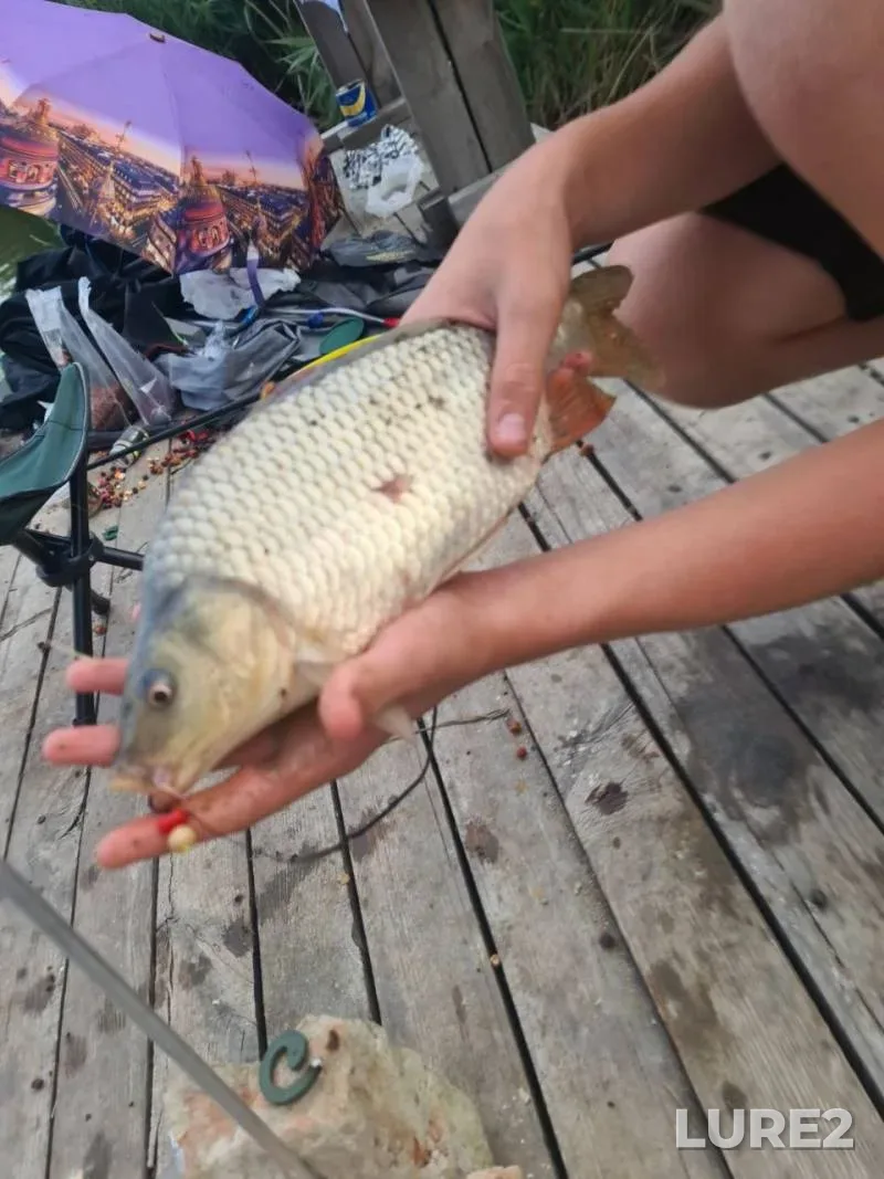 Bream, Roach — Vyacha, Jun 22, 2025, 1:30 PM
