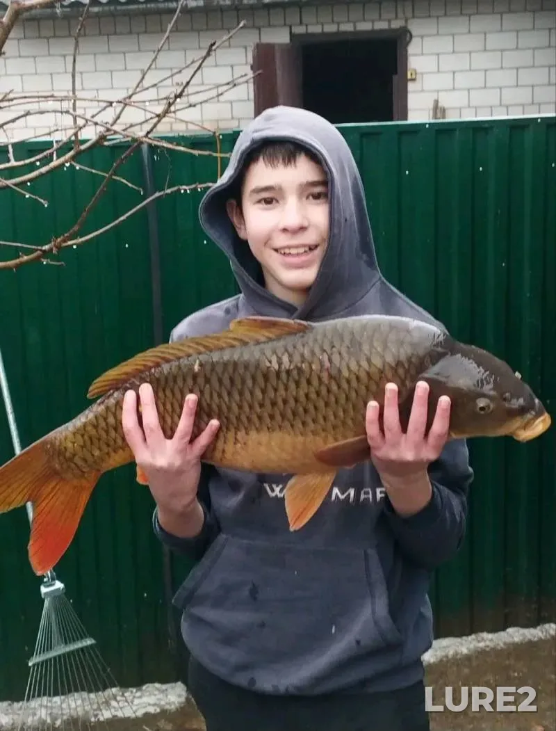 Carp — Dnestr, May 05, 2024, 6:18 PM