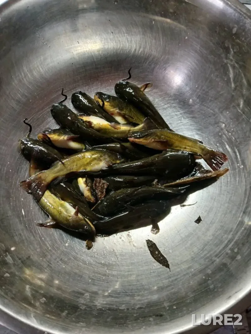 Perch — Dnepr, May 02, 2025, 10:00 AM