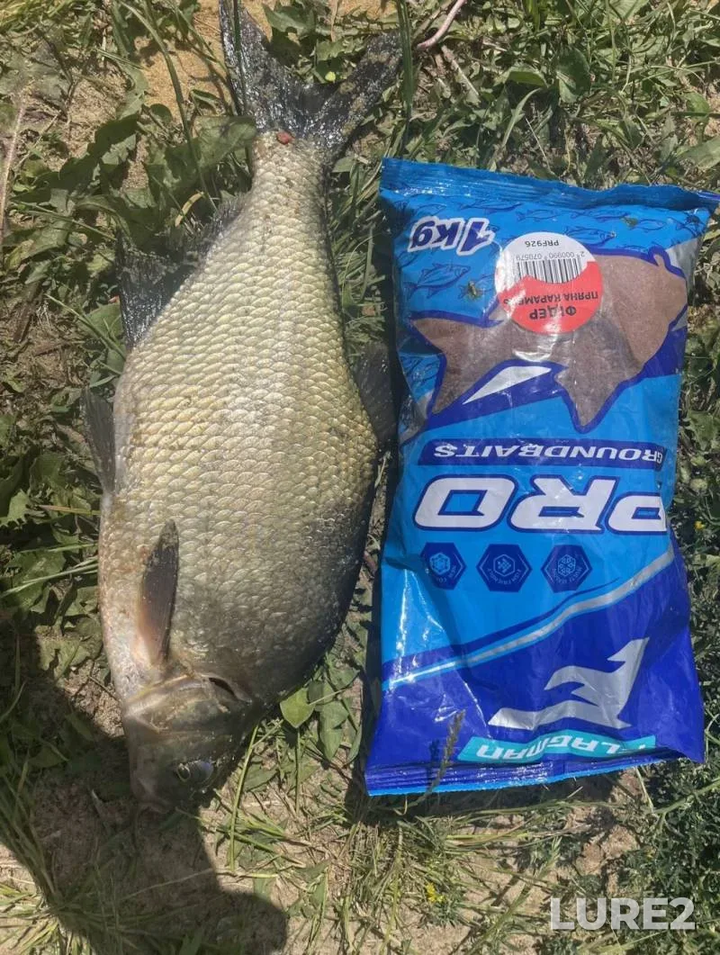 Bream — Svisloch, Jul 21, 2025, 4:30 PM