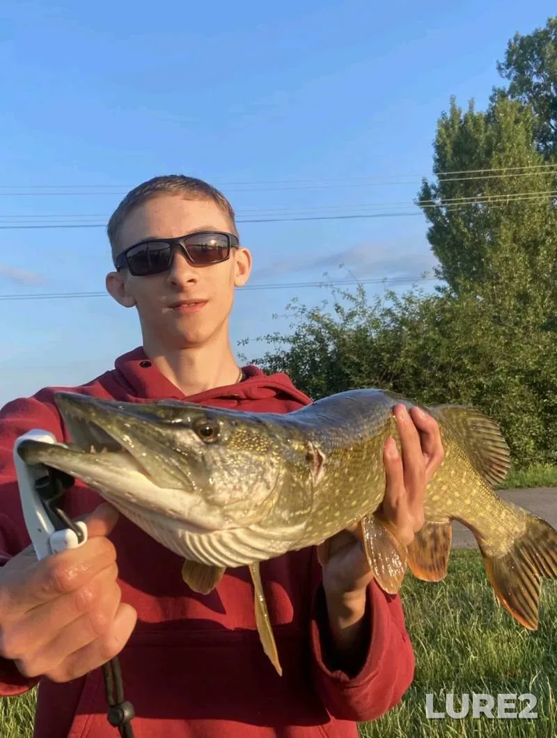 Bream — Svisloch, Jul 22, 2025, 4:45 PM