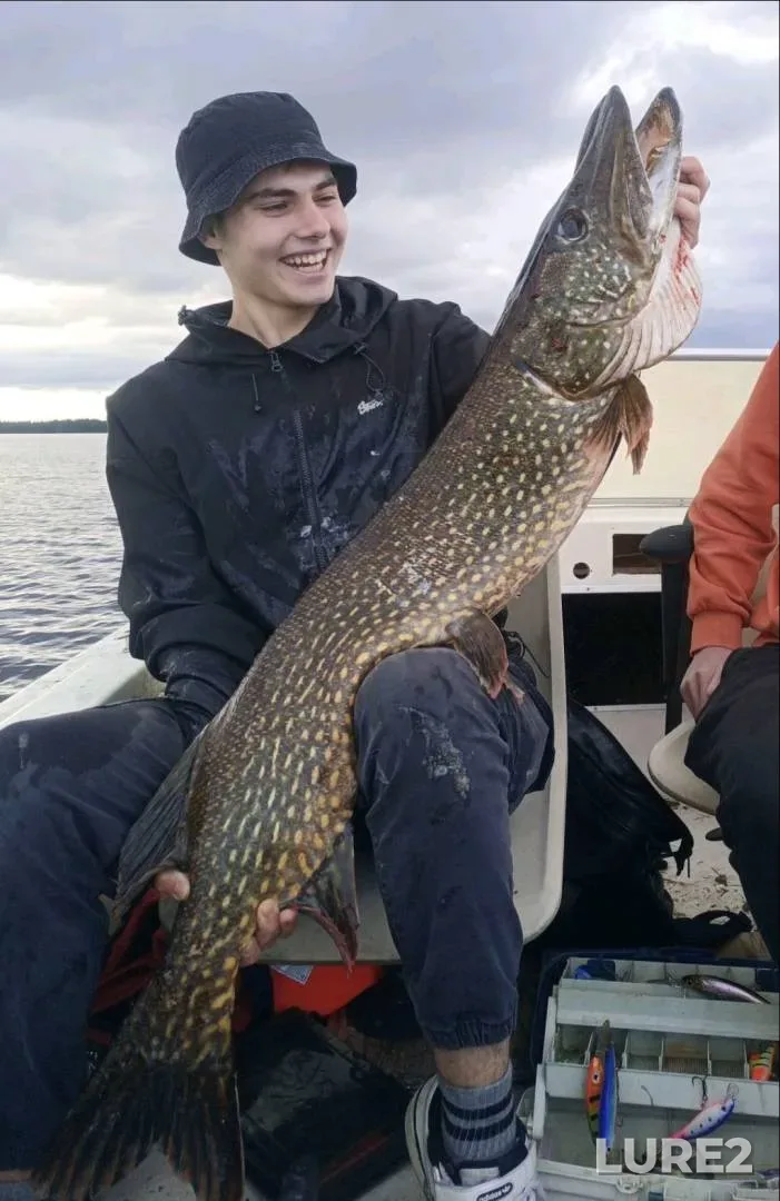 Pike — Kiїvska oblast, Sep 19, 2021, 6:12 PM