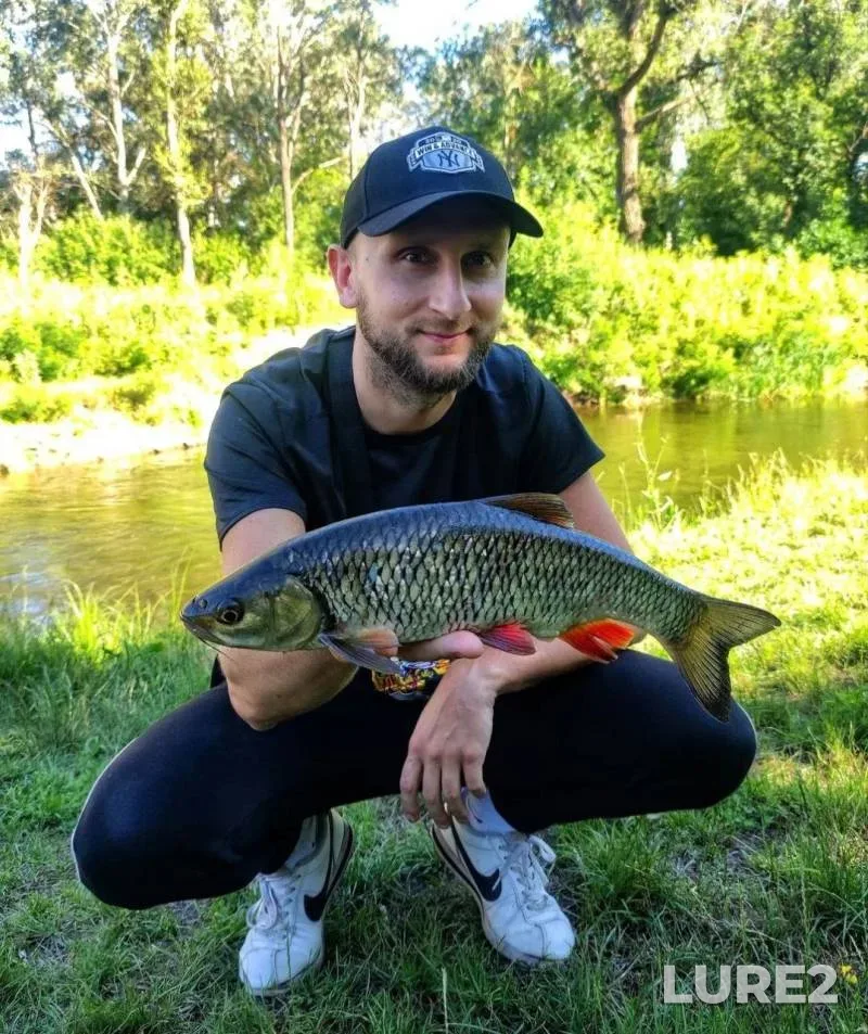 Chub — Vorskla, Jul 22, 2024, 12:20 PM