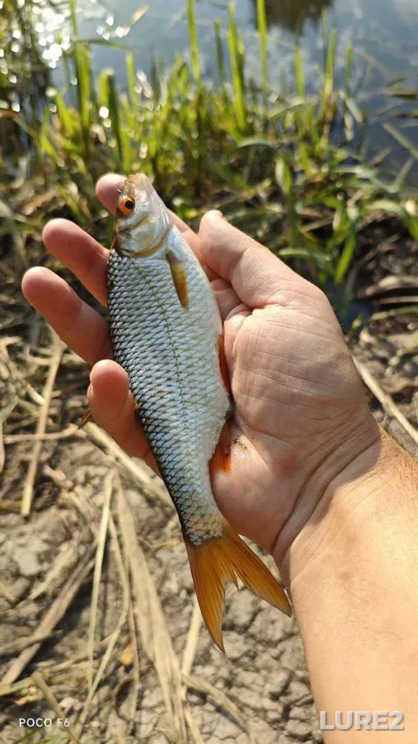 Roach, Rudd — Ingul, Aug 20, 2024, 9:35 AM