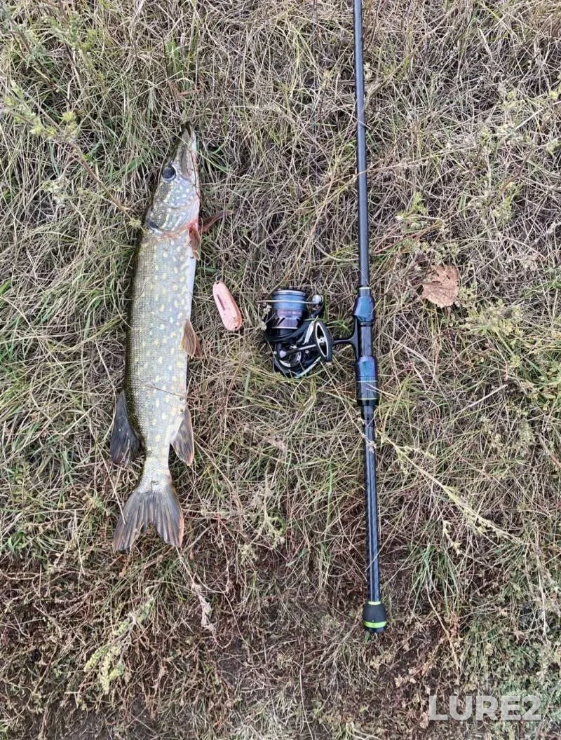 Pike — Dnestr, Sep 22, 2024, 4:16 PM