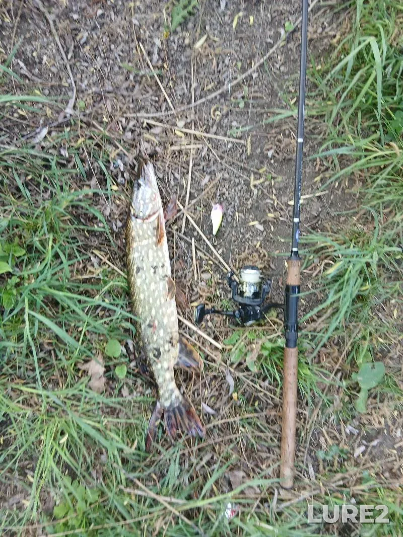 Pike — Pervogo Maya, Jun 11, 2025, 8:07 PM