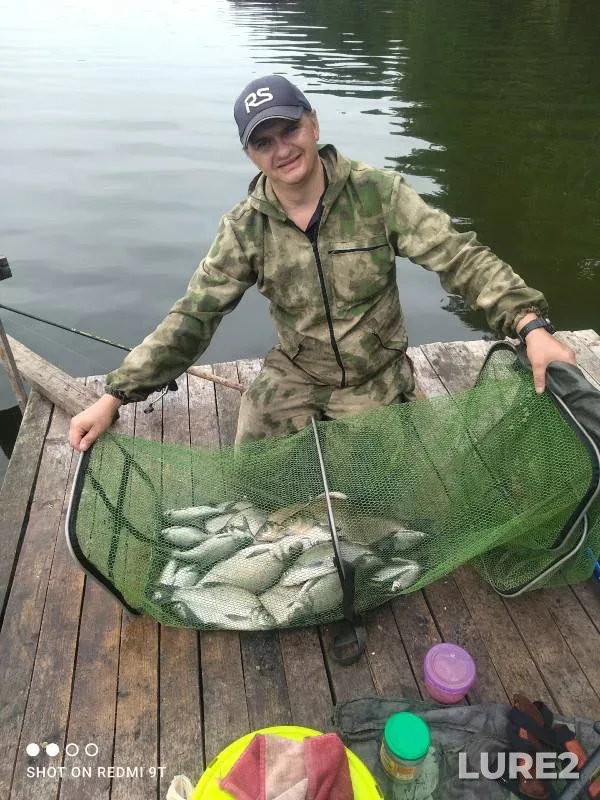 Bream — Drut, Aug 05, 2025
