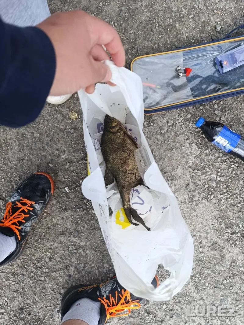Bream — Ternopolskiy, Jun 18, 6:56 AM
