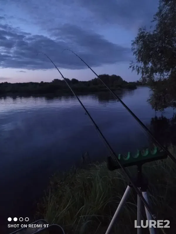 Bream, Roach — Sozh, Aug 17, 2025
