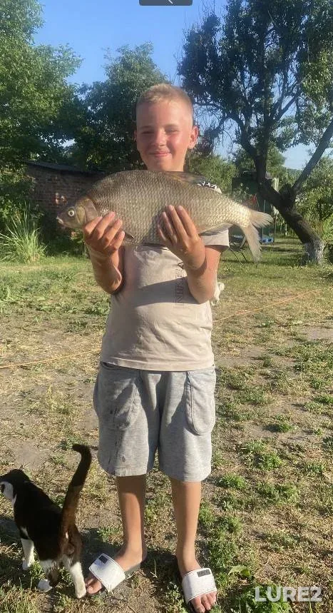 Carp — Domelka, Aug 17, 2025, 7:42 AM