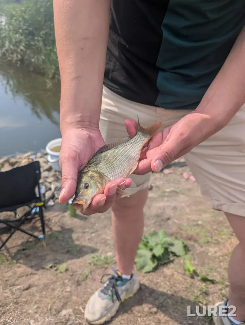 Perch — Shchukino, Aug 15, 2025, 2:00 AM