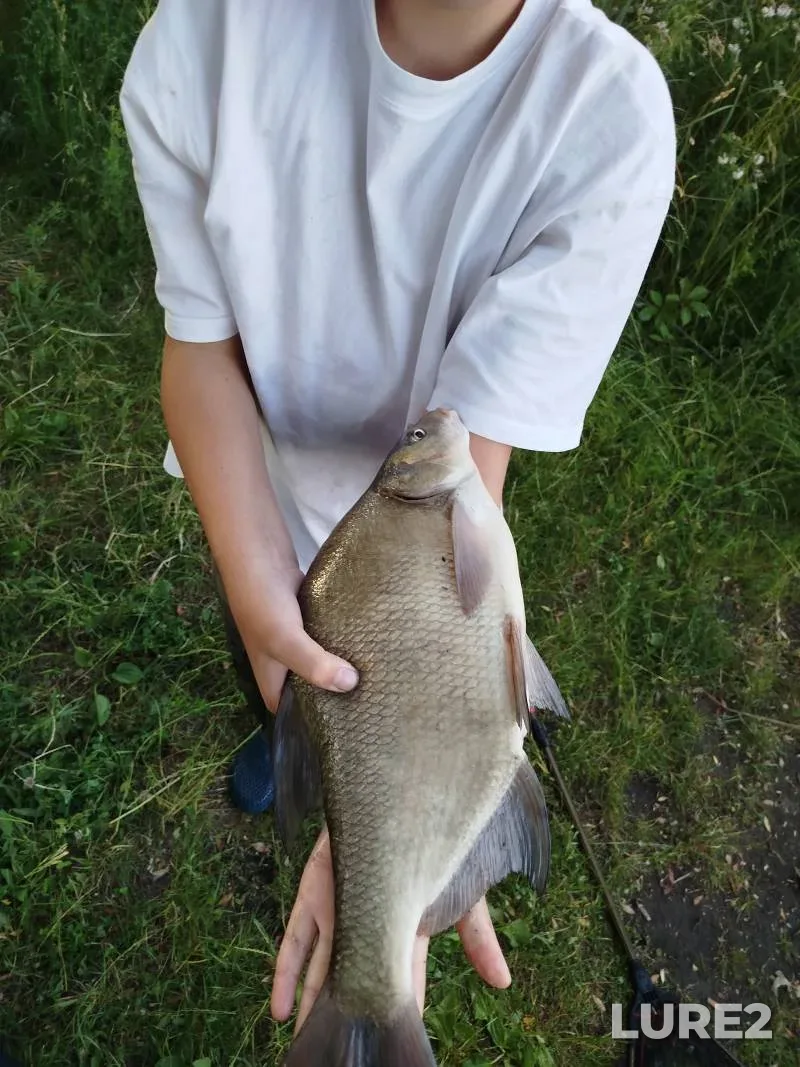 Perch — Ulyanovka, Aug 18, 2025, 7:00 PM